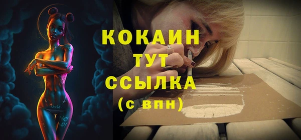 мдпв Богородицк