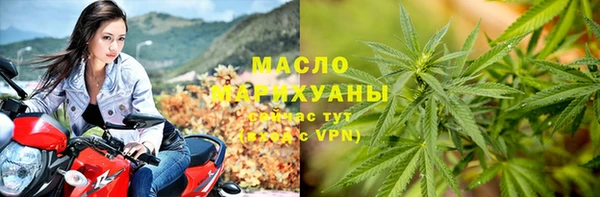 мдпв Богородицк