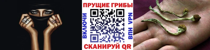 наркотики  Южно-Сухокумск  МЕГА tor  Галлюциногенные грибы мухоморы 